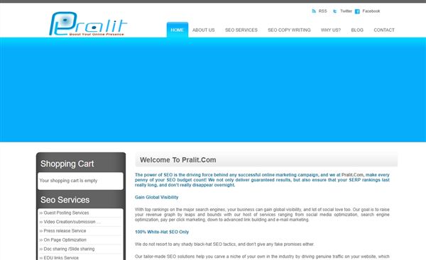 Pralit-Digital Marketing Company